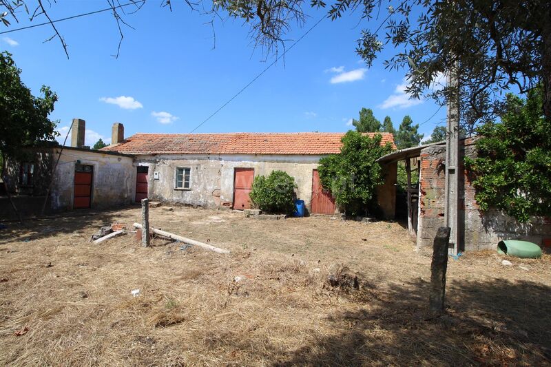 Quinta com moradia V0 Caria Belmonte para vender - electricidade, água, oliveiras, árvores de fruto, poço