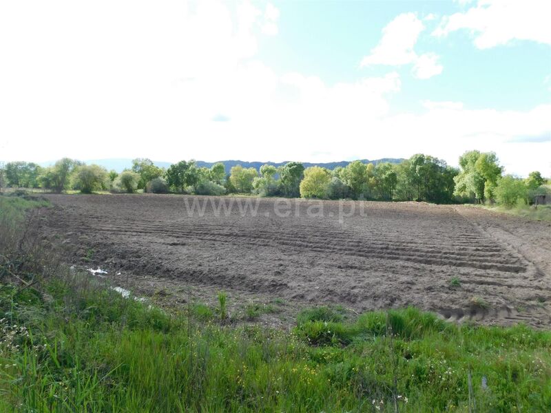 Land Urban with 77730sqm Carvalhal Formoso Inguias Belmonte