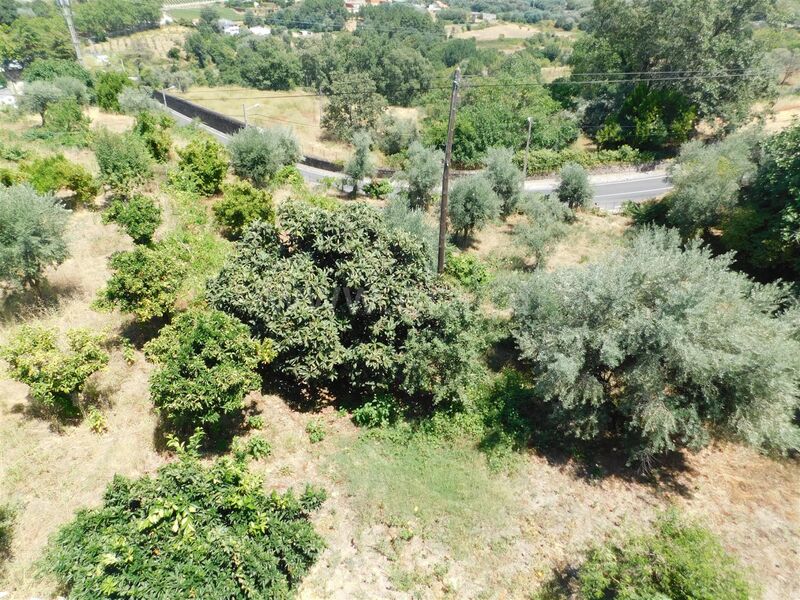 Lote Urbano com 3021m2 Teixoso Covilhã para comprar