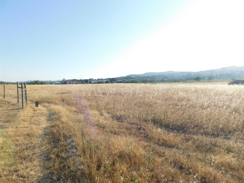 Terreno plano Tortosendo Covilhã - excelente localização