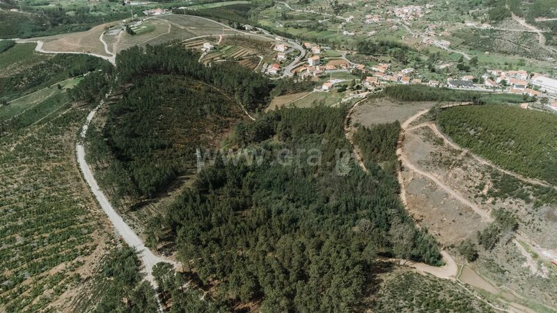 Land T0 with ruin Serra da Estrela Cortes do Meio Covilhã - fruit trees