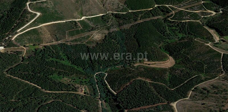 Venda de Quinta V0 com ruína Serra da Estrela Cortes do Meio Covilhã - piscina
