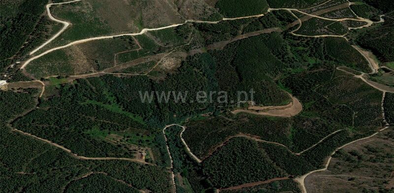 Terreno T0 com ruína Serra da Estrela Cortes do Meio Covilhã