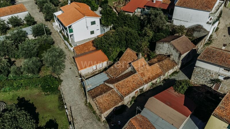 House V3 Inguias Belmonte - garden, swimming pool