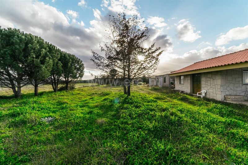 Terreno Agrícola com 23160m2 Colmeal da Torre Belmonte - furo, água, electricidade, poço