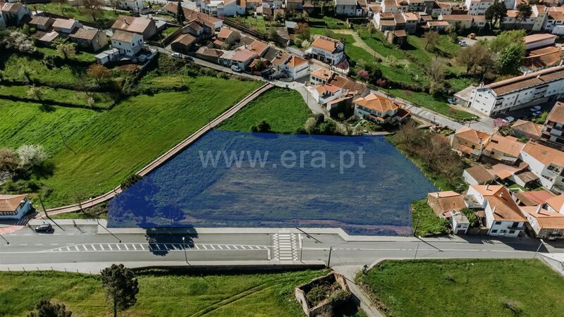 Terreno com 4859m2 Sabugal