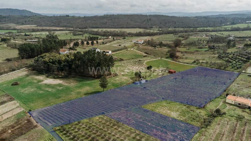 Terreno Agrícola com 13681m2 Orjais Covilhã - poço, barracão, água, oliveiras