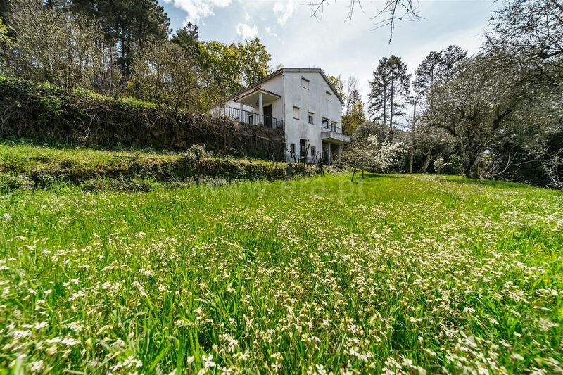 Farm 3 bedrooms São Pedro Gouveia - barbecue, fruit trees, water, terraces, electricity, garage, attic, olive trees, central heating, terrace