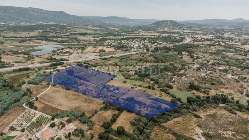 Quinta V3 Peraboa Covilhã - poço, furo, excelentes acessos, regadio, árvores de fruto, água