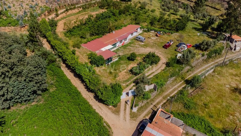 Quinta T6 / Covilhã, Casegas