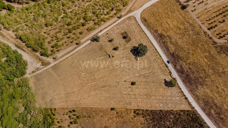 Terreno / Fundão, Orca