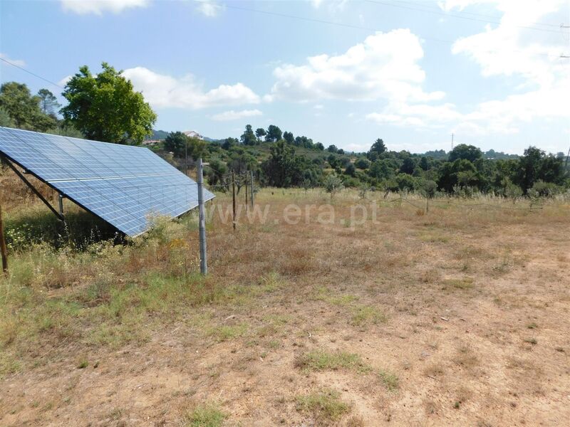 Terreno plano Pêro Viseu Fundão - viabilidade de construção, bons acessos