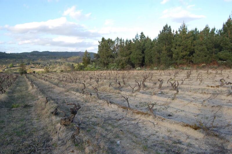 Land with 9000sqm Três Povos Fundão - water, water hole, well