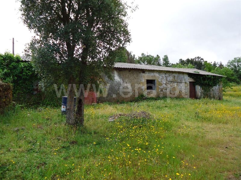 Quinta V0 Fatela Fundão - árvores de fruto, cultura arvense, pessegueiros, água, viabilidade de construção, tanque, poço, furo