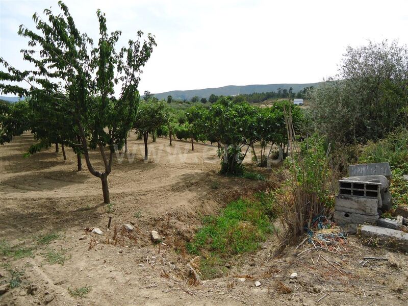 Land Agricultural with 2900sqm Telhado Fundão - well, easy access, fruit trees