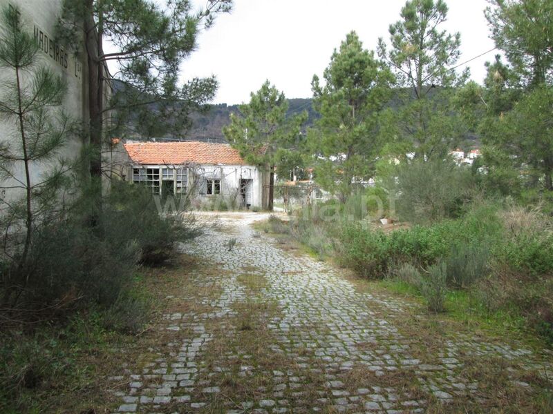 Terreno Urbano com 10000m2 Alpedrinha Fundão - viabilidade de construção