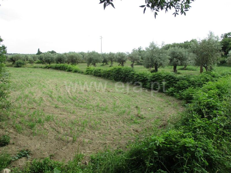 Quinta para recuperar V0 Póvoa da Atalaia Fundão - poço, árvores de fruto, bons acessos