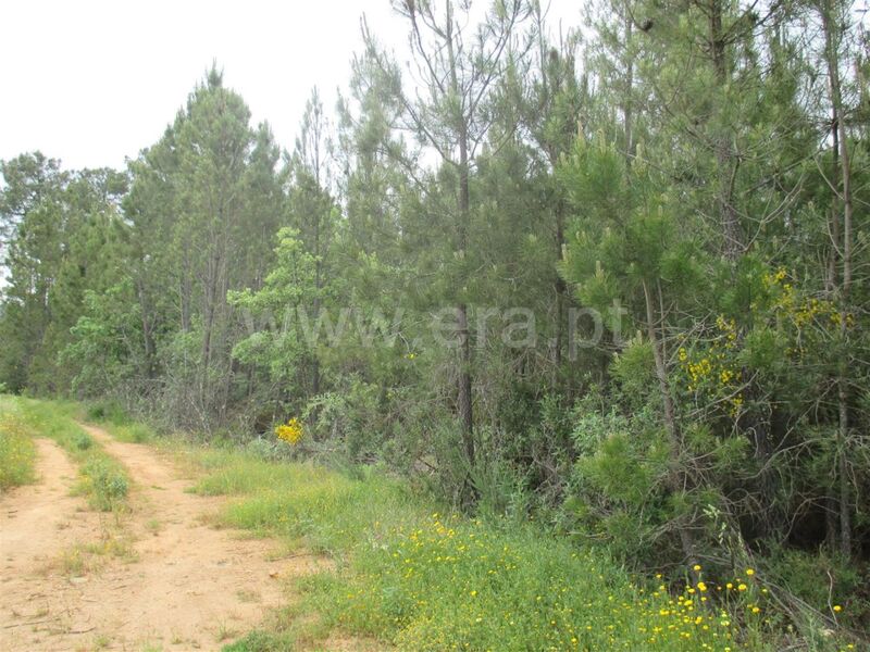 Land with 8100sqm Enxames Fundão - well, easy access, irrigated land