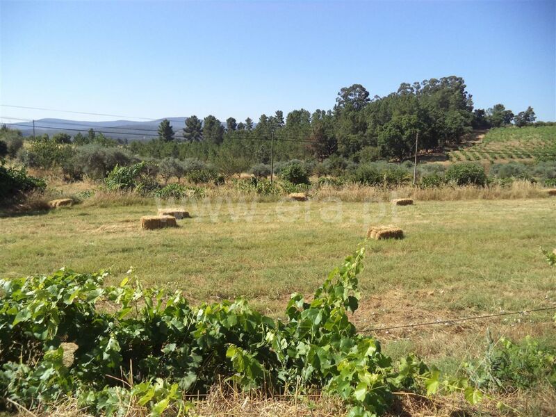 Quinta Pêro Viseu Fundão - furo, electricidade, poço