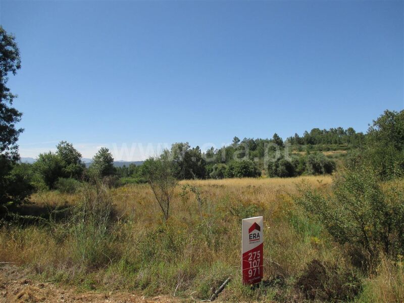 Terreno plano Enxames Fundão - regadio, árvores de fruto