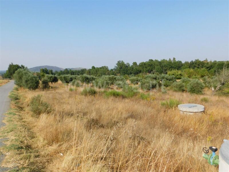 Land with 2000sqm Enxames Fundão - irrigated land