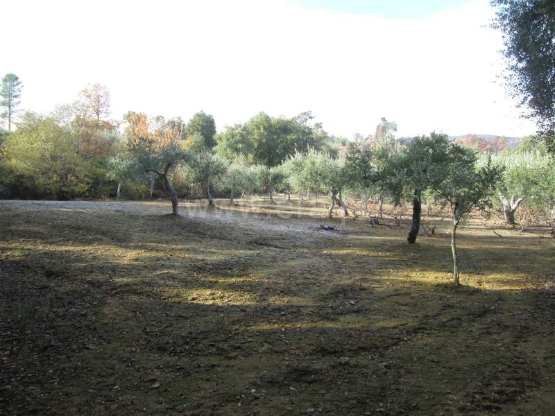 Farm Telhado Fundão - well