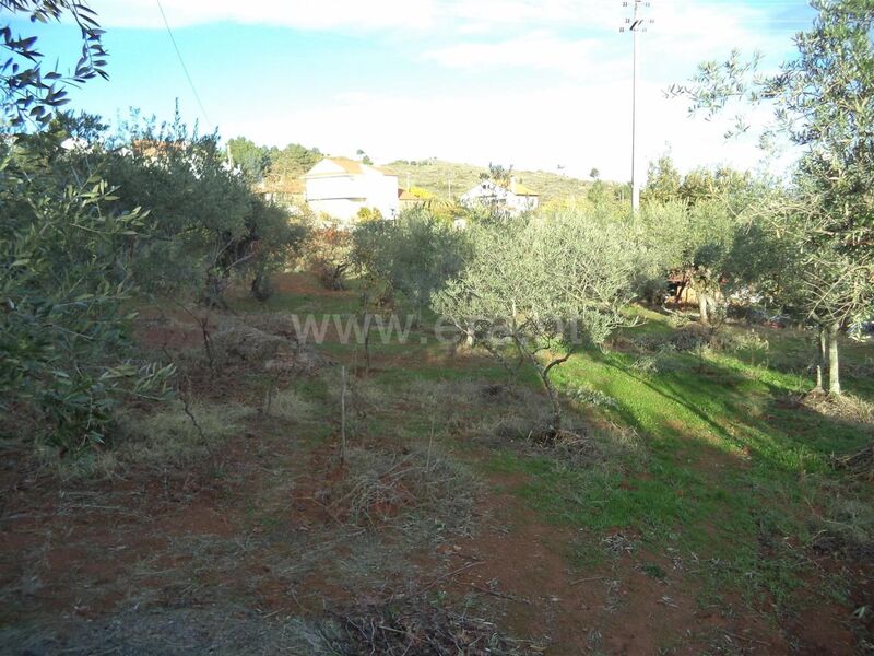 Land with 2500sqm Capinha Fundão - ,