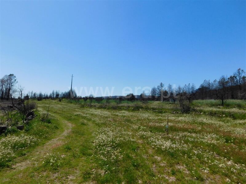 Terreno Agrícola com 5940m2 Soalheira Fundão - poço, árvores de fruto, bons acessos, tanque