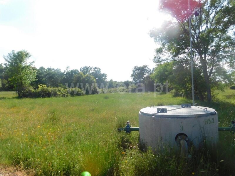 Land with 13500sqm Donas Fundão - irrigated land