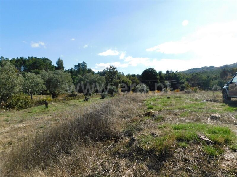 Terreno Agrícola com 6590m2 Quintas da Torre Fundão - água