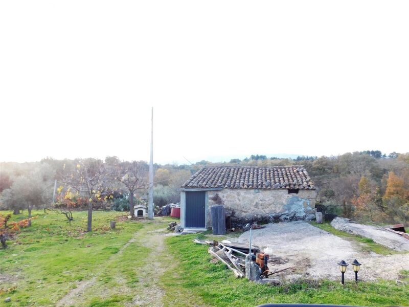 Farm 0 bedrooms Orca Fundão - fruit trees, water