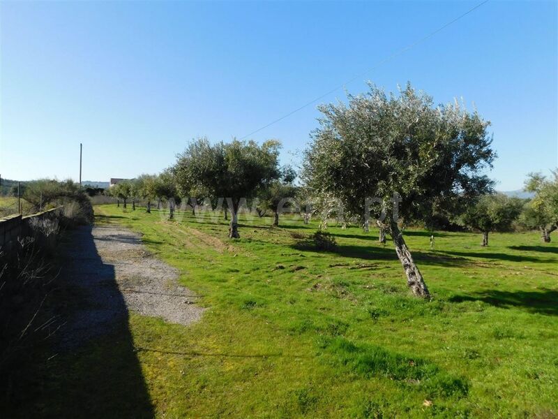 Farm V0 Orca Fundão - water, fruit trees