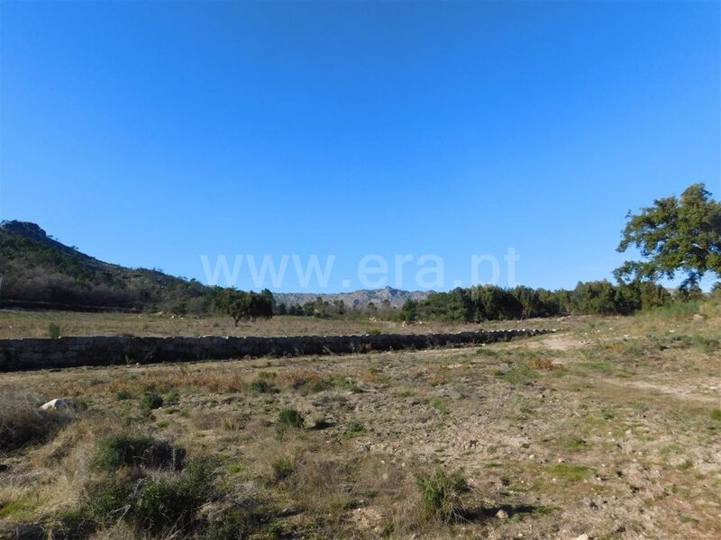 Terreno Agrícola com 430000m2 Castelo Novo Fundão