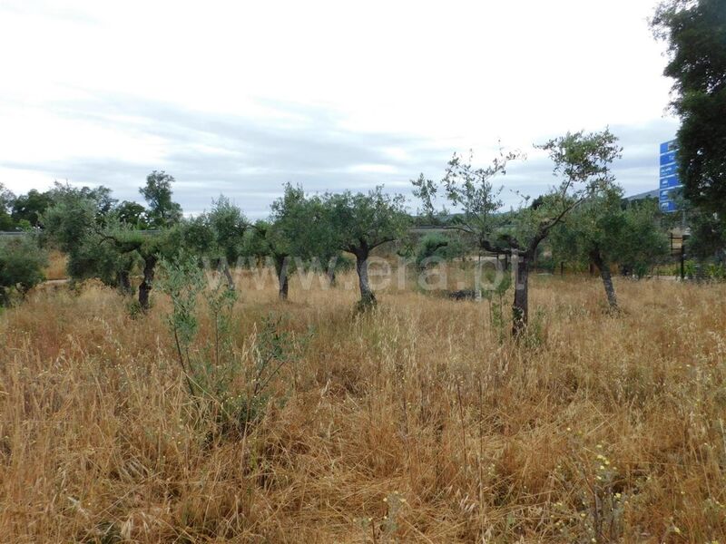 Land with 2900sqm Soalheira Fundão - water