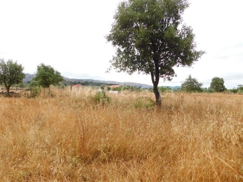 Land with 3500sqm Soalheira Fundão