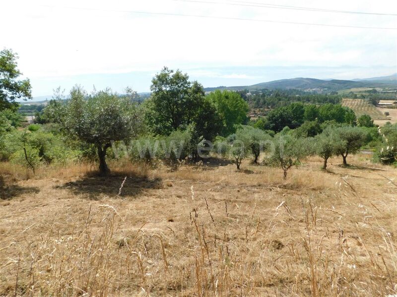 Land with 7000sqm Alcaria Fundão - water