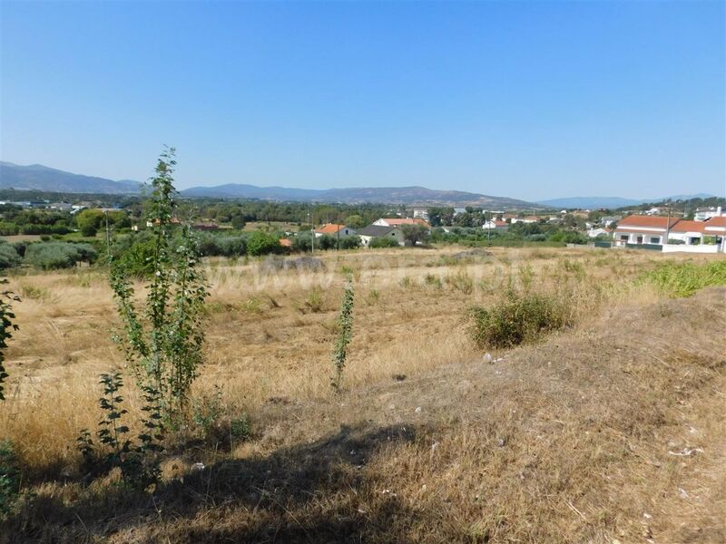 Terreno com 6900m2 Alcaria Fundão - água, electricidade