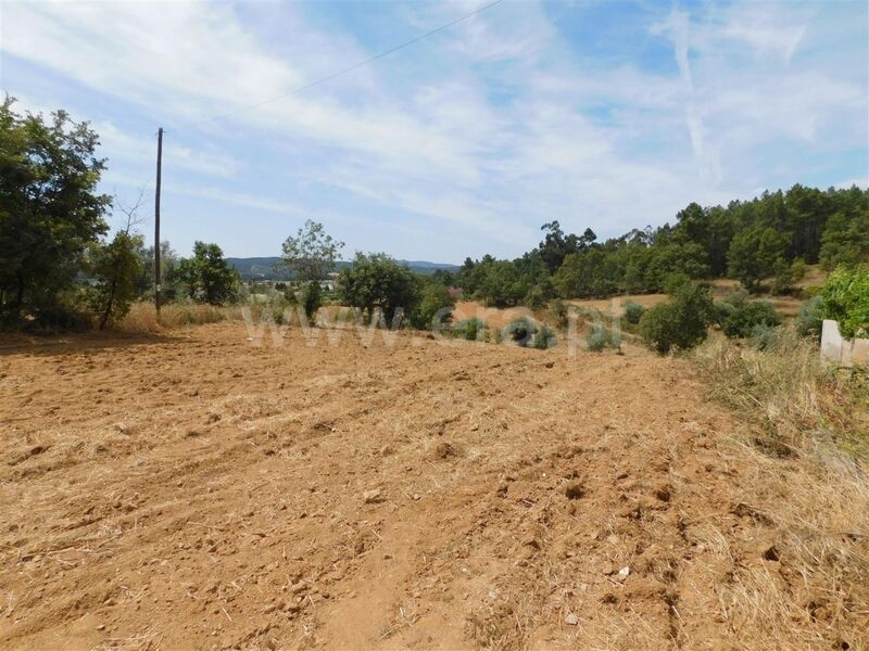 Terreno com 7000m2 Salgueiro Três Povos Fundão - água, viabilidade de construção, electricidade