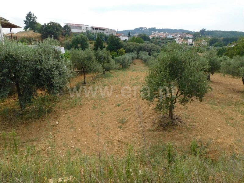 Land with 1000sqm Salgueiro Três Povos Fundão