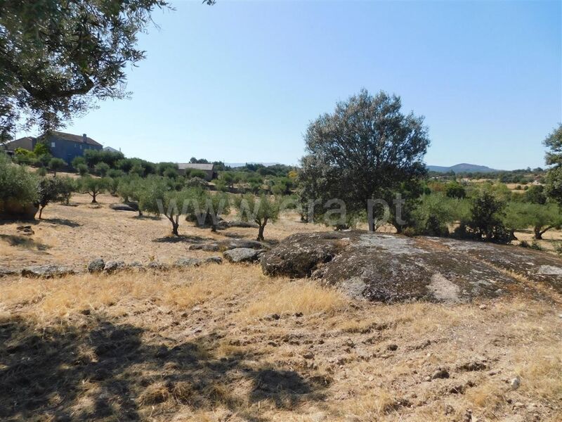 Land with 5600sqm Martianas Orca Fundão