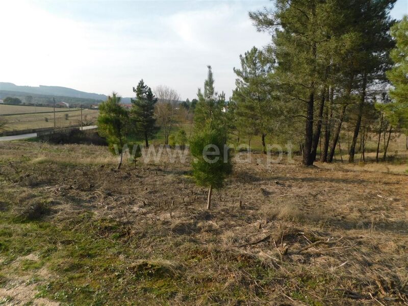 Land with 8500sqm Enxames Fundão