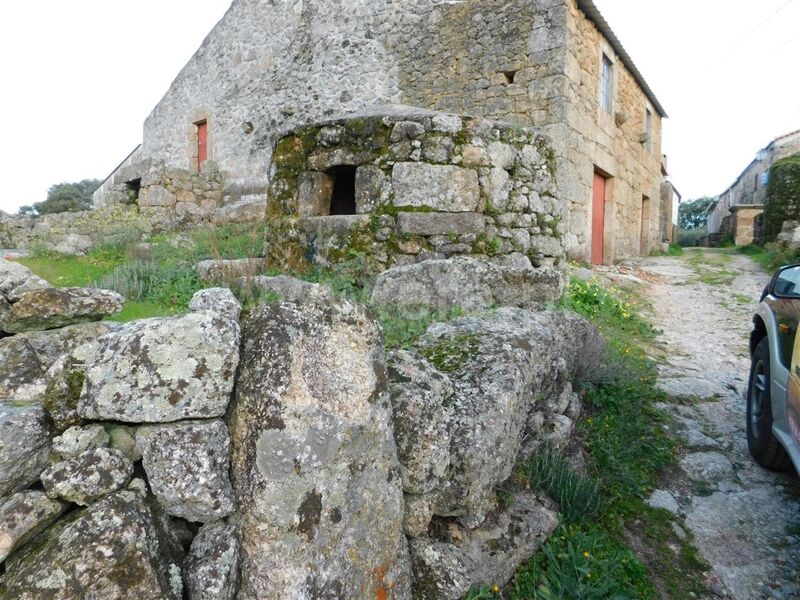 Ruine V0 Alpedrinha Fundão