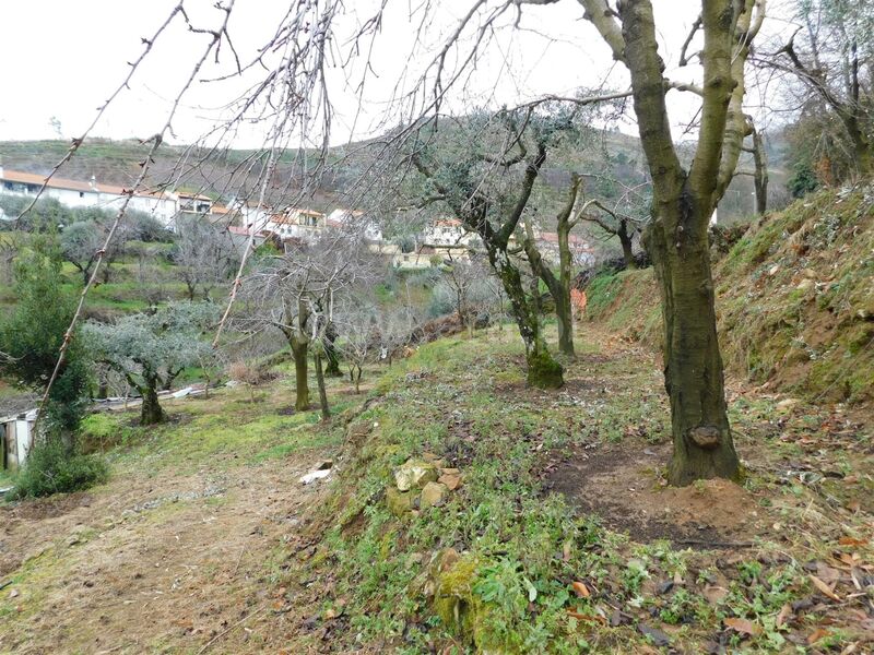 Land with 6000sqm Alcongosta Fundão - olive trees, water hole, water, tank