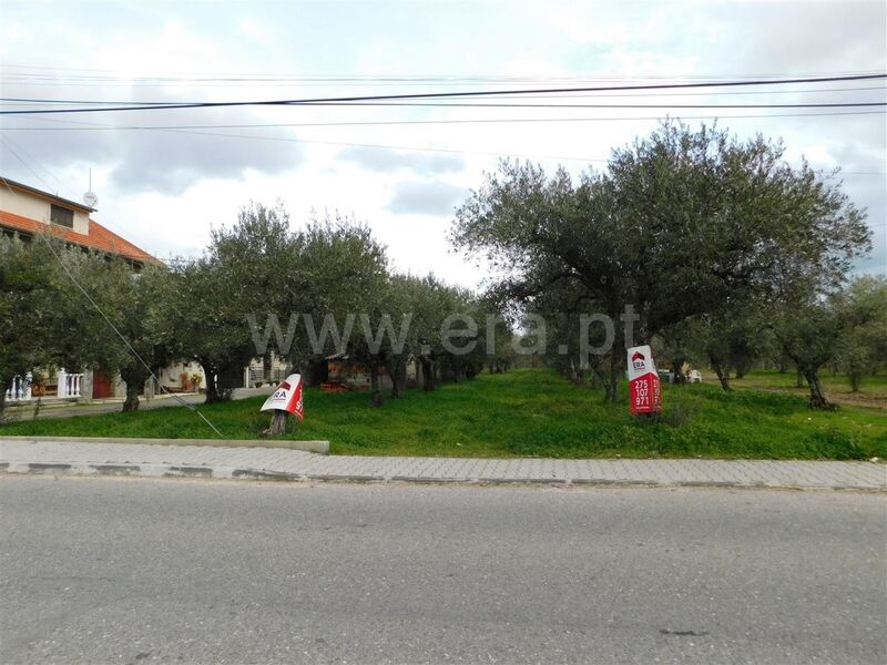 Land with 1140sqm Carvalhal Fundão