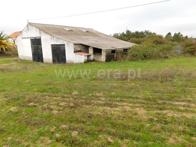 Farm V0 Atalaia do Campo Fundão - swimming pool, fruit trees, well, water