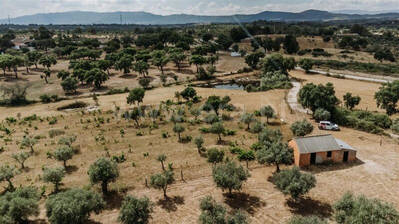 Land with 19700sqm Martianas Orca Fundão - olive trees, water, fruit trees, well