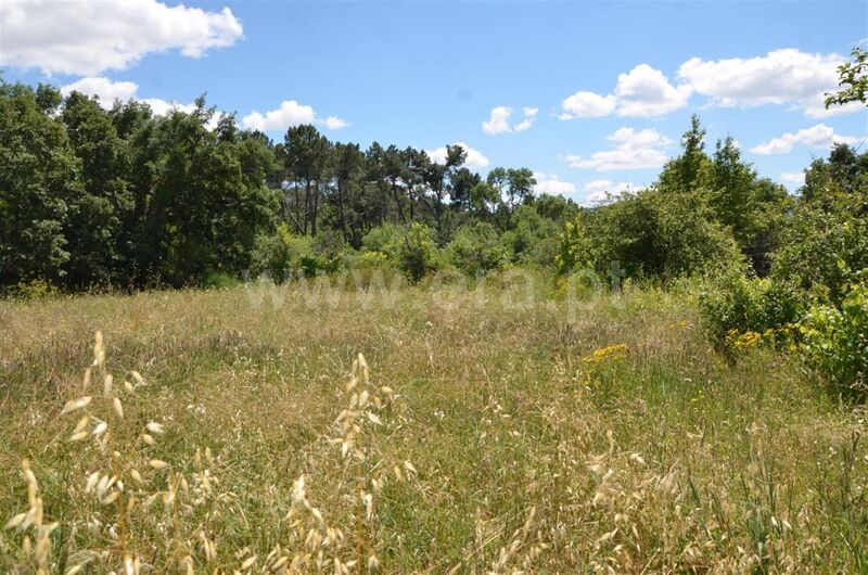 Terreno Agrícola com 3200m2 Fatela Fundão - poço