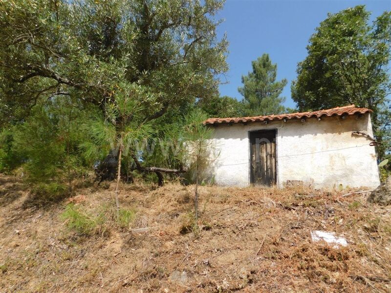 Terreno Agrícola com 8220m2 Telhado Fundão