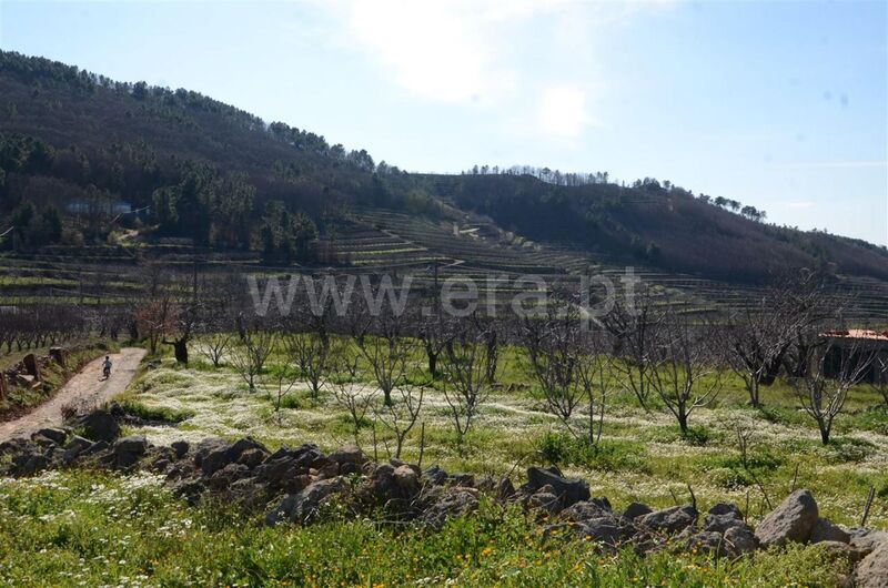 Farm Aldeia de Joanes Fundão - ,