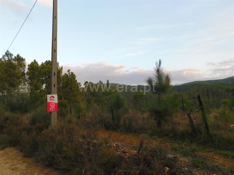 Terreno com 7000m2 Silvares Fundão - bons acessos, água, viabilidade de construção, electricidade, furo